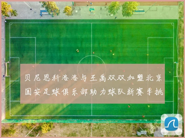 贝尼恩科洛洛与王禹双双加盟北京国安足球俱乐部助力球队新赛季挑战